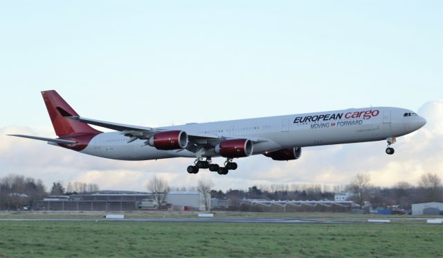 Airbus A340-600 (9H-PPE) - maleth-aero a340-642 9h-ppe landing at shannon 3/12/20.