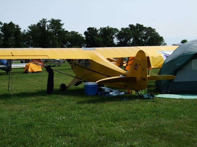 Piper L-18B Cub Special (N3380N)