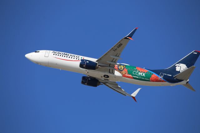 Boeing 737-800 (XA-AMM)