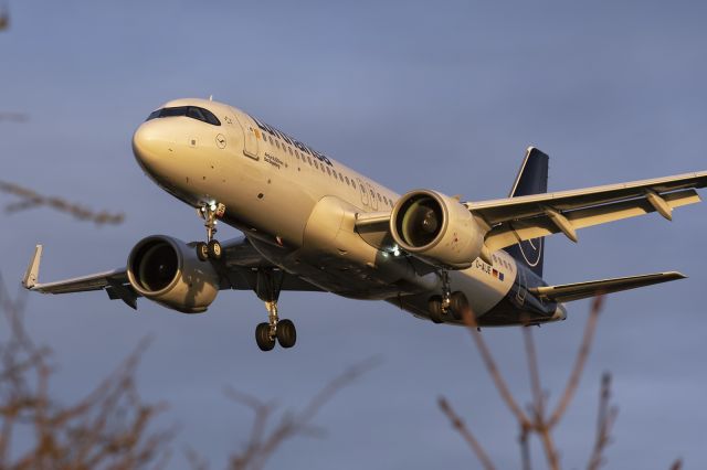 Airbus A320neo (D-AIJE) - 2nd Feb., 2022:  Lufthansa's A320neo on short finals to runway 27L at London Heathrow.