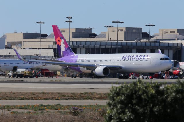 BOEING 767-300 (N590HA)