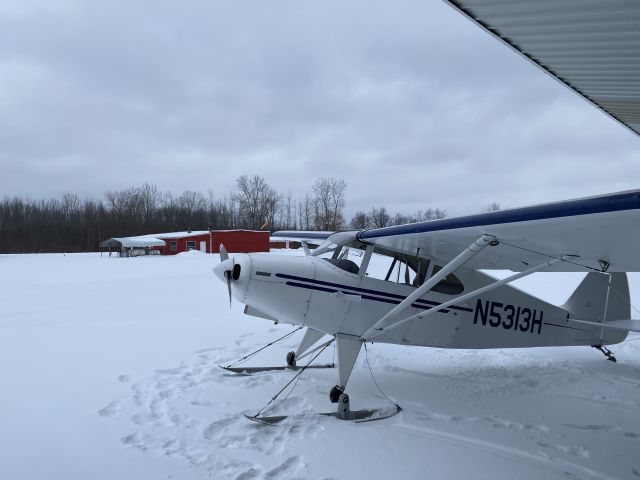 Piper PA-16 Clipper (N5313H)