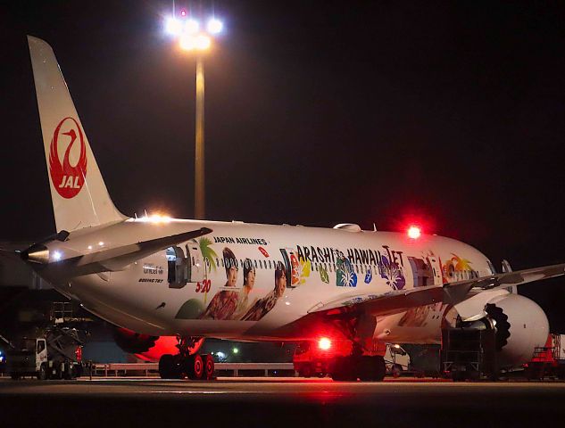 Boeing 787-9 Dreamliner (JA873J) - I took this picture on May 31, 2019br /This Boeing 787-9 is a new special paint machine "ARASHI HAWAII JET" to commemorate the 65th anniversary of JAL's launch on the Hawaii route.