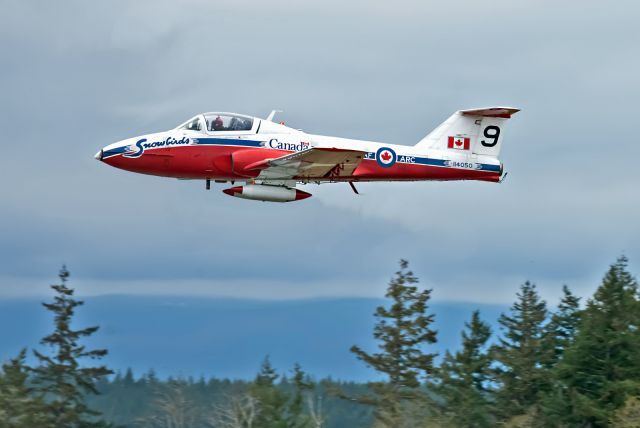 11-4050 — - RCAF air demo team Snowbirds spring training