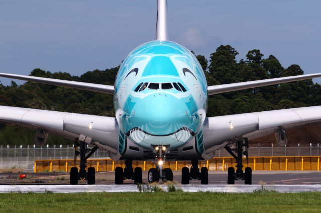 Airbus A380-800 (JA382A) - Flying Honu "Kai"