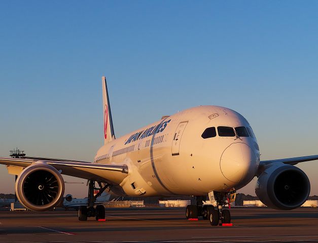 Boeing 787-9 Dreamliner (JA871J) - I took this picture on Jan 20, 2021.