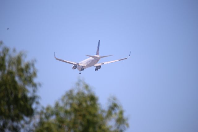 BOEING 767-300 (N677UA)
