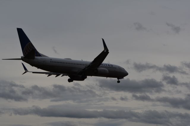 Boeing 737-800 (N37293)