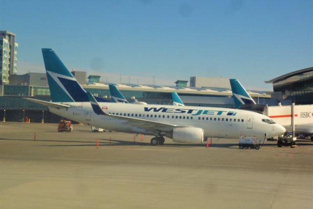 Boeing 737-700 (C-FJWS)