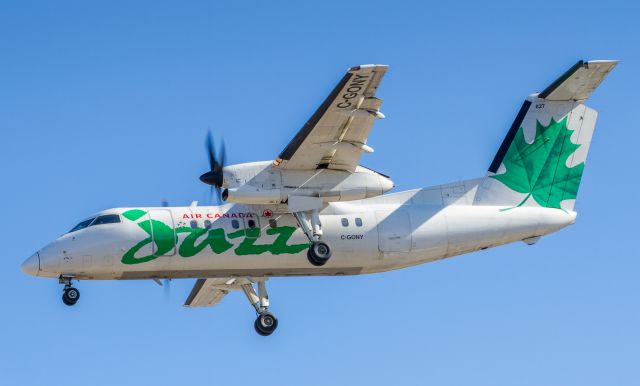 de Havilland Dash 8-100 (C-GONY)