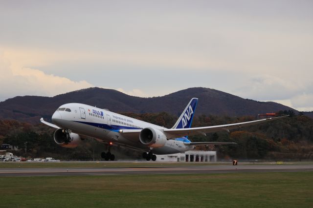 Boeing 787-8 (JA817A) - November 3rd 2020:HKD-HND.