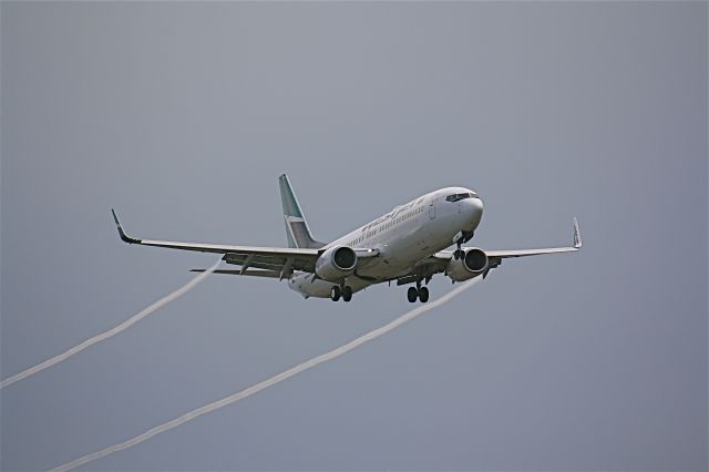 Boeing 737-800 (C-GWSA) - Bad weather can sometimes create an unique photo.this Westjet flight landing at Lester B.Pearson Intl Airport with water vapor trailing behind the aircraft,photo taken July 27/2009