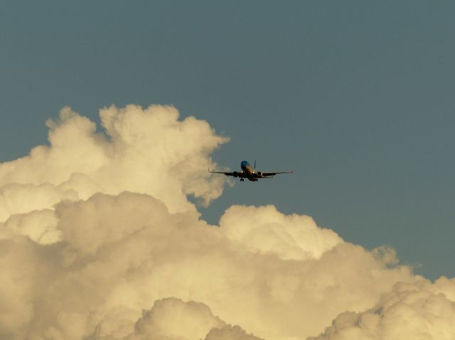 Boeing 737-800 (LV-FRQ)