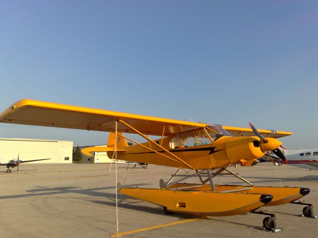 Piper L-21 Super Cub (N418BD)