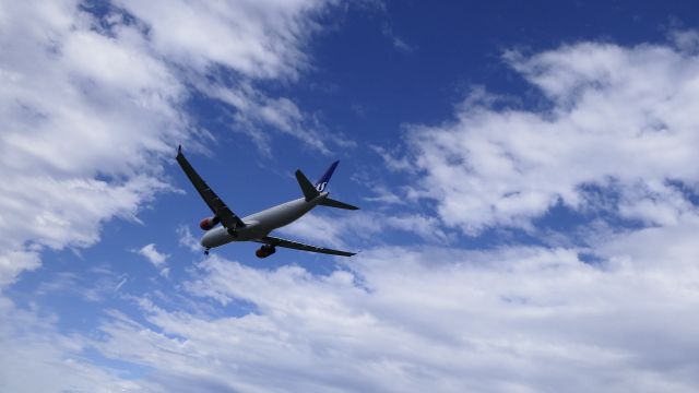 Airbus A330-300 (LN-RKU)