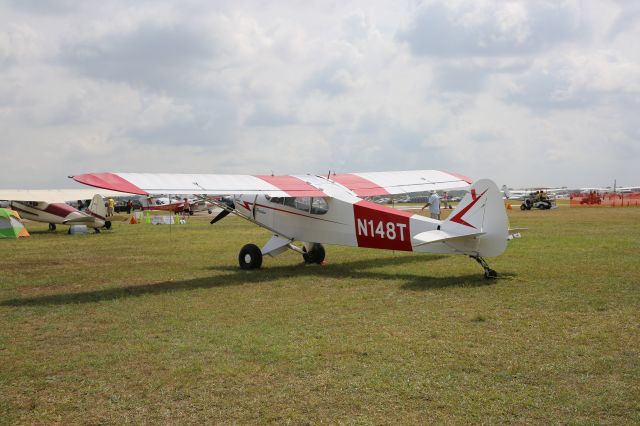 Piper L-21 Super Cub (N148T)