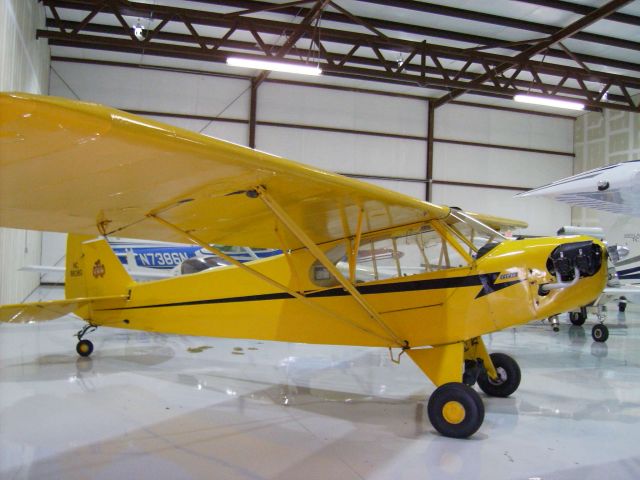 N88380 — - Piper Cub in the hangar