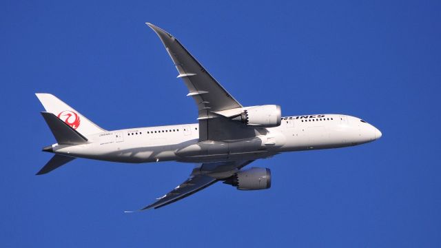 Boeing 787-8 (JA846J)