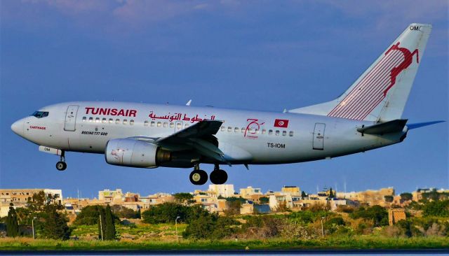 BOEING 737-600 (TS-IOM) - OPn landing RWY31 