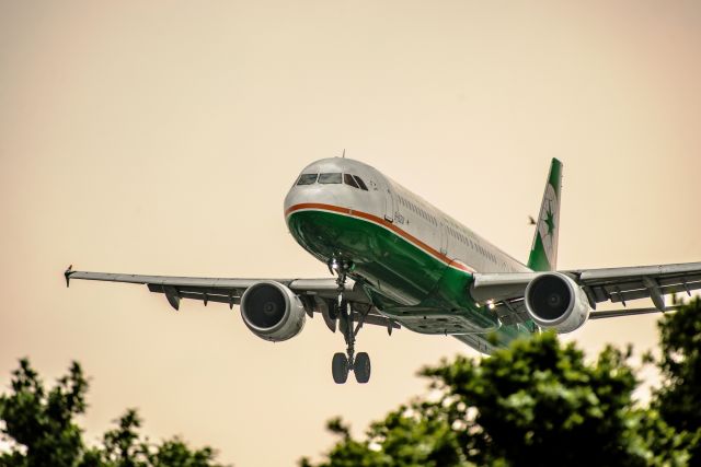 Airbus A321 (B-16201)