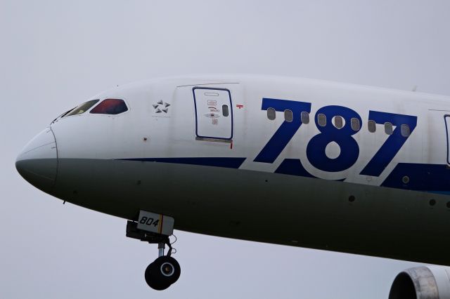 Boeing 787-8 (JA804A)