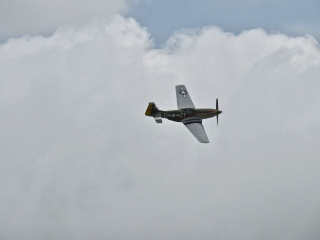 North American P-51 Mustang (N5428V)