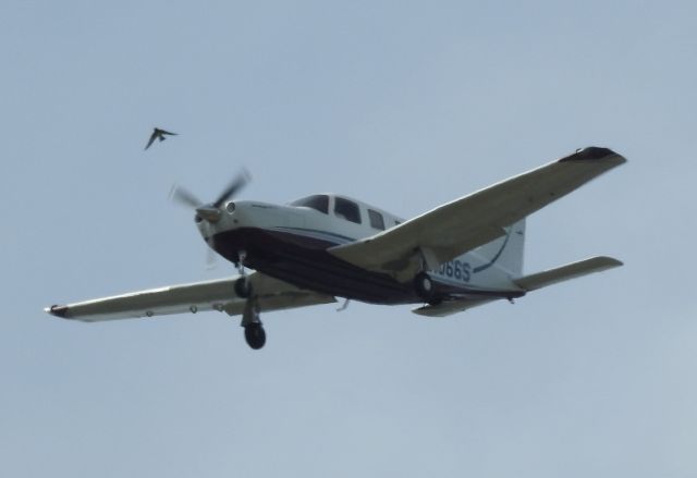 Piper Saratoga/Lance (N1066S)