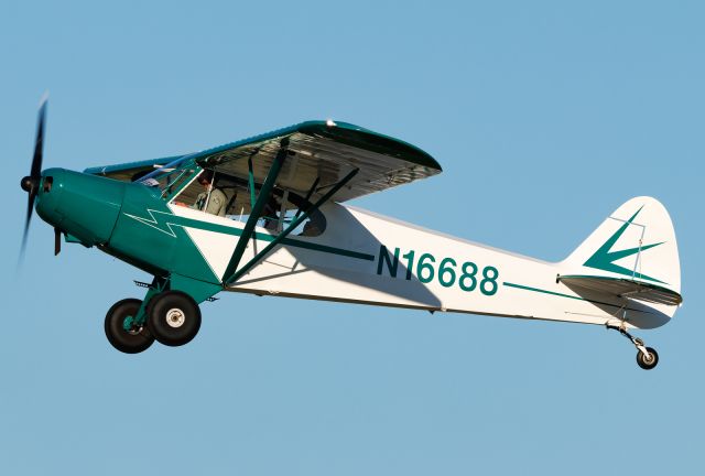 Piper L-21 Super Cub (N16688)