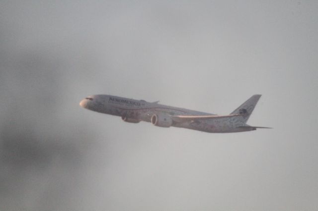 Boeing 787-9 Dreamliner (XA-ADL) - DEPARTURE FROM 27 MMTJ