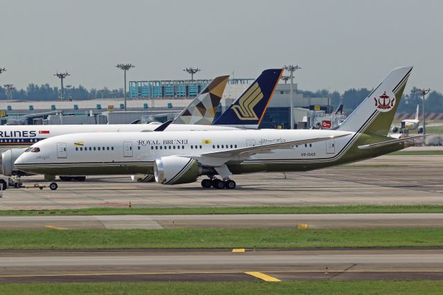 Boeing 787-8 (V8-OAS)
