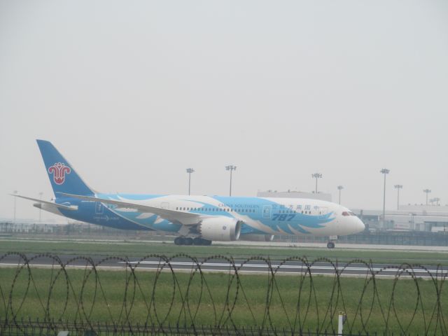 Boeing 787-8 (B-2725) - China Southern Airlines CZ3103 landing in Beijing runway 18R. Best Shot of my life!!! And I found a new plane spotting location, though it is only accessible by a trek through a nearby village and field!