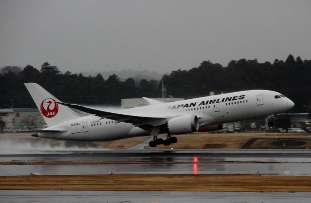 Boeing 787-8 (JA826J) - January 14, 2013