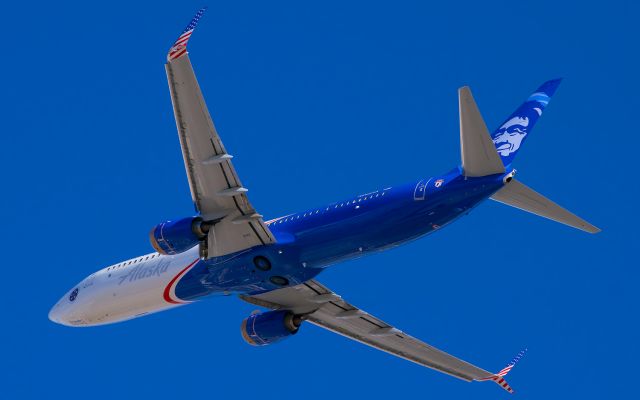 Boeing 737-900 (N265AK) - I really like the special livery on this jet.