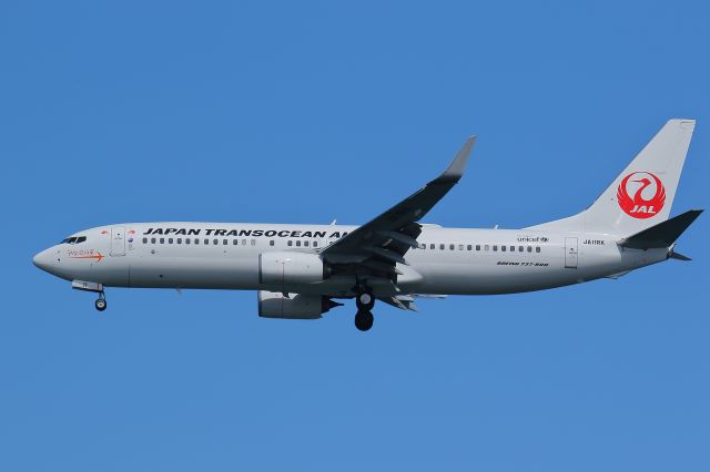 Boeing 737-800 (JA11RK)