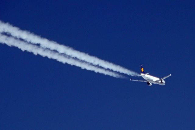 Airbus A320 (D-AIZB) - DLH1450 from FRA to DME