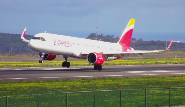 Airbus A321 (EC-OCC)