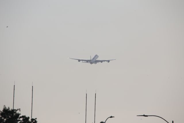 Airbus A340-600 (D-AIHI)