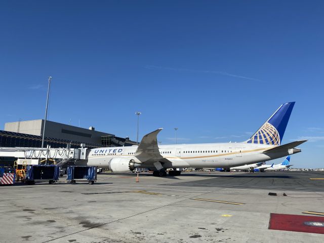 Boeing 787-9 Dreamliner (N19951) - DEL -EWR diversion 11/6/24