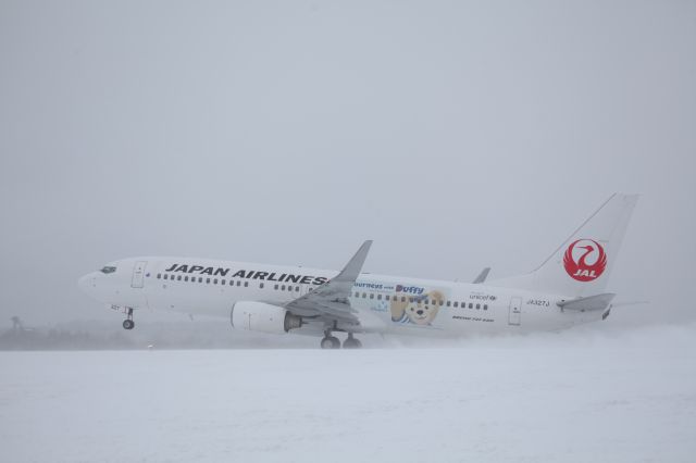 Boeing 737-800 (JA327J) - 27 December 2015:HKD-HND.