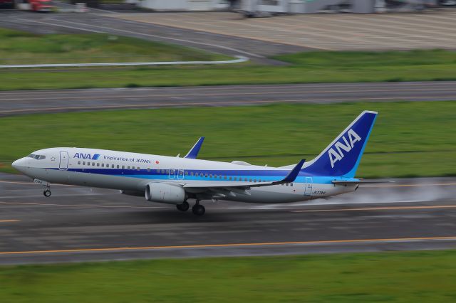 Boeing 737-800 (JA77AN)