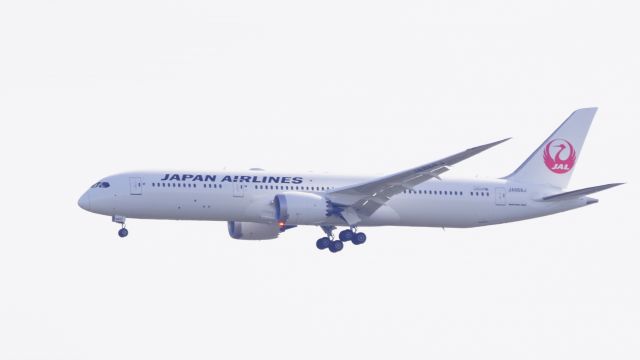 Boeing 787-8 (JA868J)