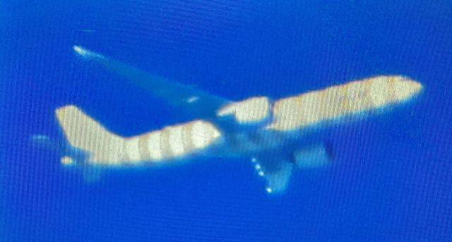 Airbus A330-900 (D-ANRL) - D-ANRL
