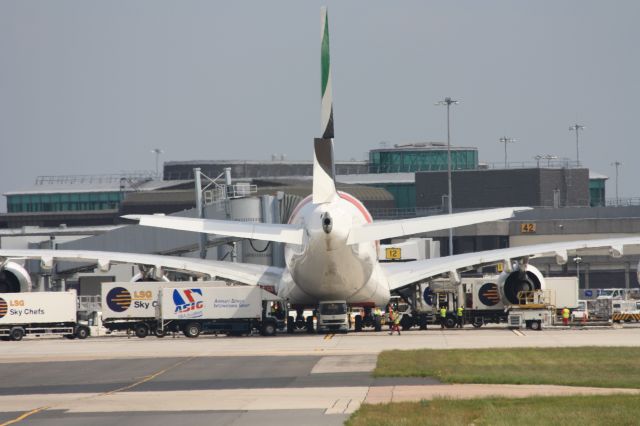 Airbus A380-800 (A6-EDI)