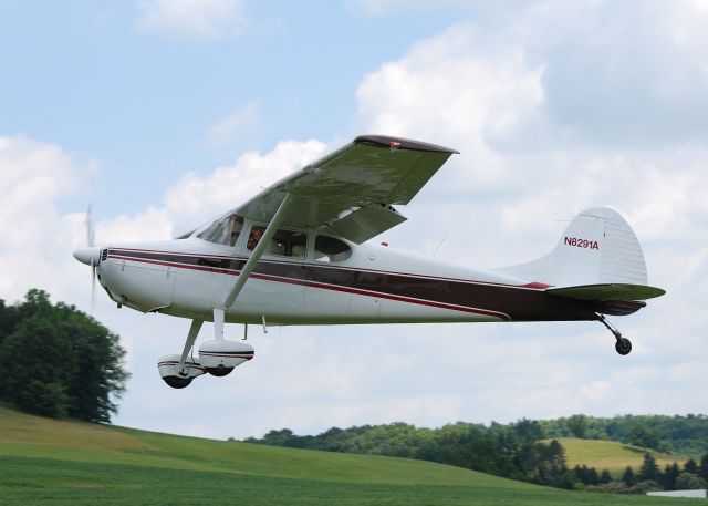 Cessna 170 (N8291A)