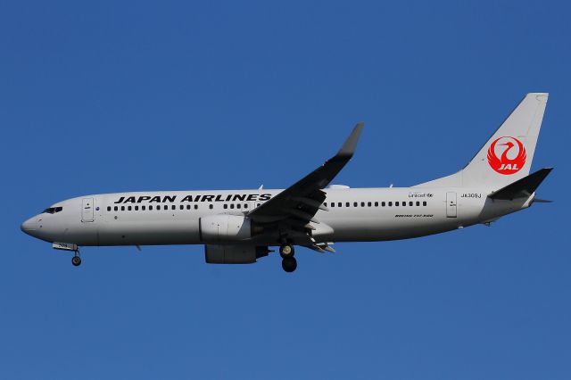 Boeing 737-800 (JA309J)