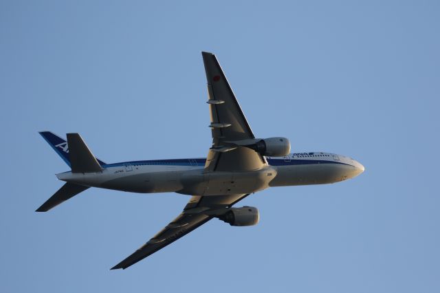 Boeing 777-200 (JA741A) - 15 October 2015:HKD-HND.