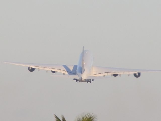 Airbus A380-800 (D-AIMB)