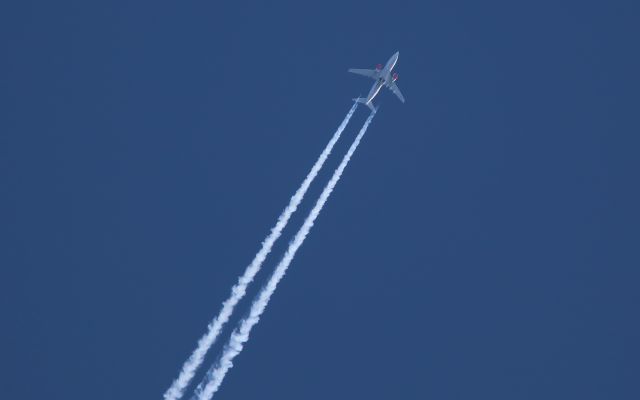 BOEING 737-600 (LN-RPJ) - Boeing 737 LN-RPJ of S.A.S. photographed from my garden.