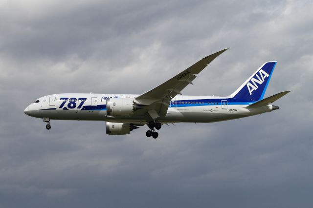 Boeing 787-8 (JA814A) - welcome back DREAM LINER We were waiting for you