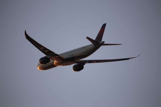 Airbus A330-900 (N405DX)